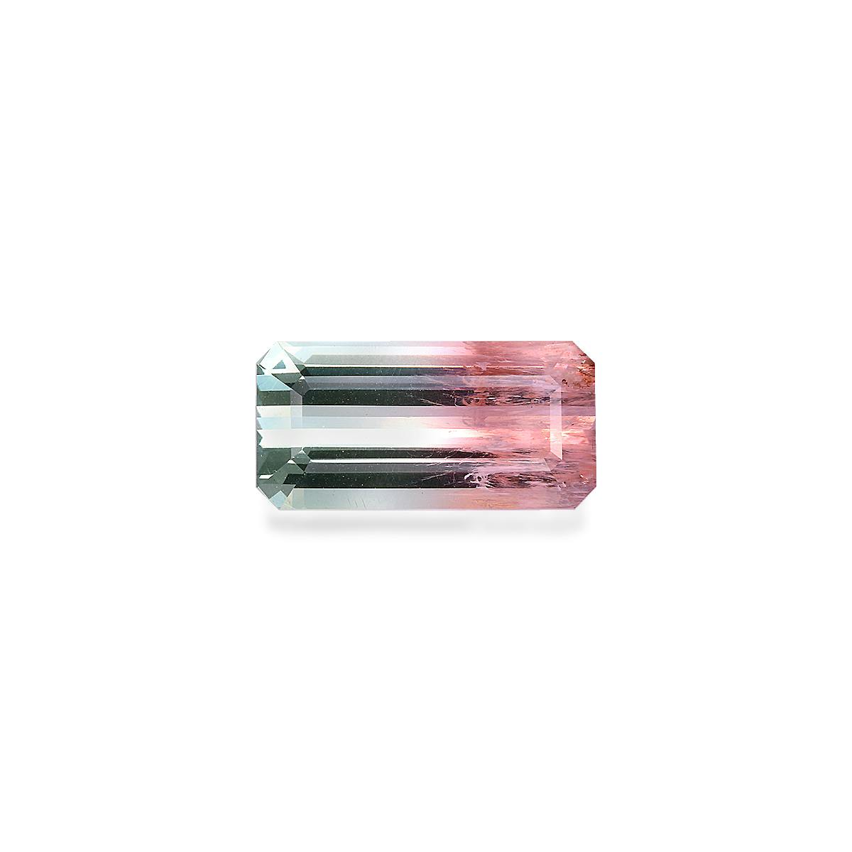 Bi Colour Tourmaline 9.65 ct